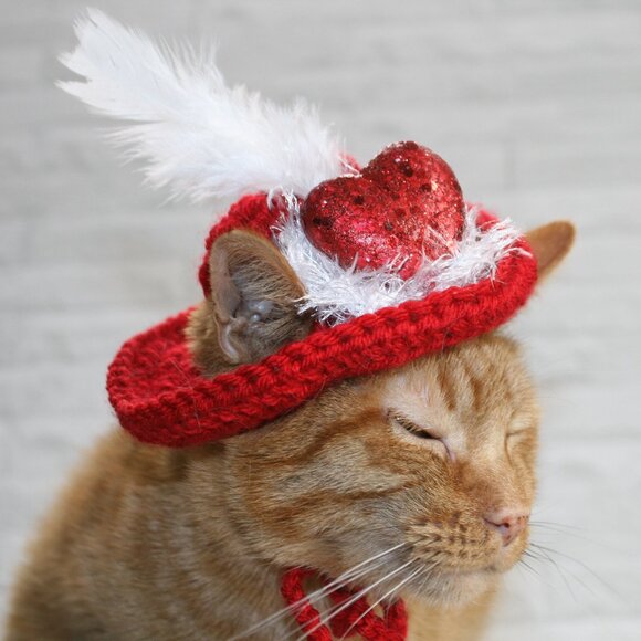 HAND CRAFTED Hat Crochet Valentine's Day Cat Dog Costume Photo Prop Red - Picture 5 of 12